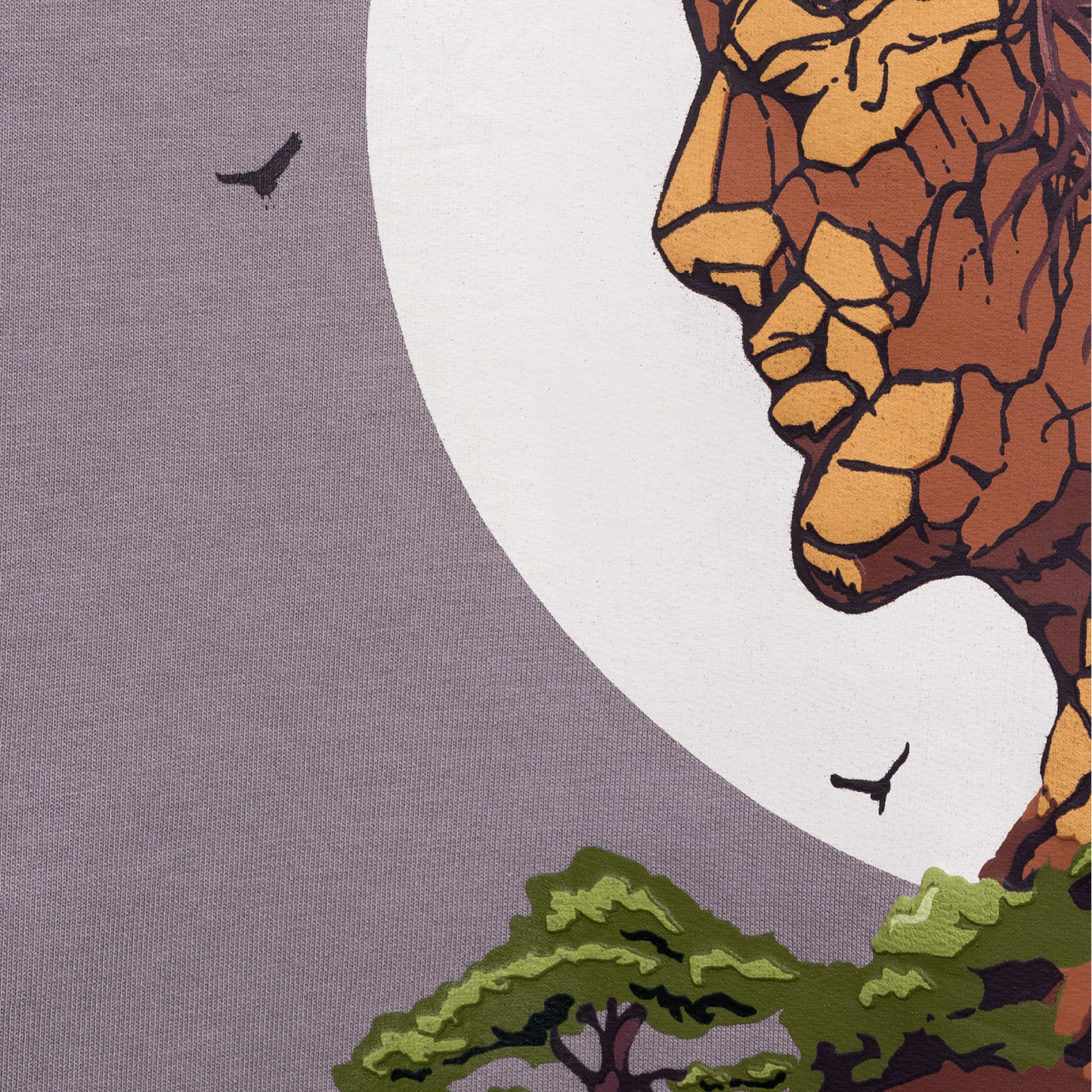 Bonsai: The Art of Patience